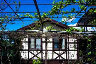 Гостиница Гостевой дом Александр Геленджик Домик бунгало-4